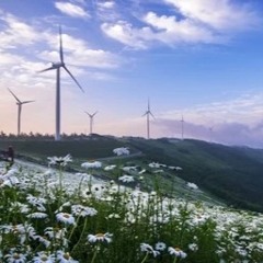 Jammy Whammy (old live practice)