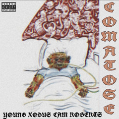 COMATOSE FT. CAM ROBERTS (PROD. By Bleedn)