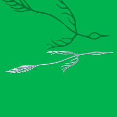 Palmistry (feat. Minais B)