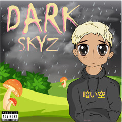 FLIM- DARK SKYZ ft Mia Sativa