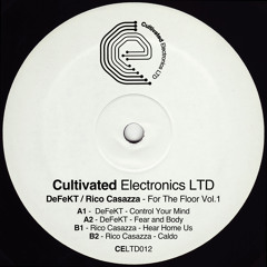 PREMIERE: Rico Casazza - Here Home Us [Cultivated Electronics]