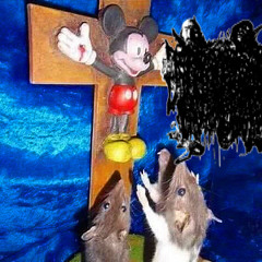 god loves me but not enough to save you