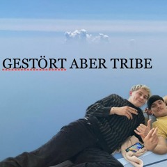 DJ LOCAL B & LŸBRA : GESTÖRT ABER TRIBE