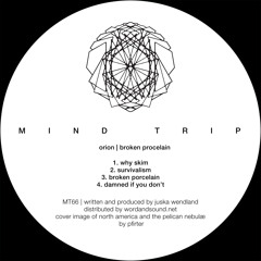 Orion - Why Skim (Original Mix) (Mindtrip)
