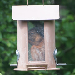 10. Compact space with Windows