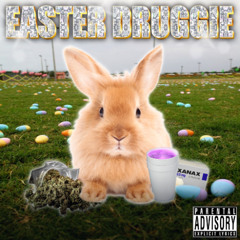 $NOW BUNNIE$