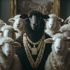 "tyler hare" diss...