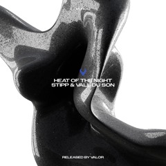 STIPP & Vall Du Son - Heat Of The Night [VLR012]