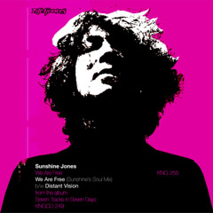 We Are Free (Pinto Remix)