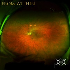 From Within (Free Download)