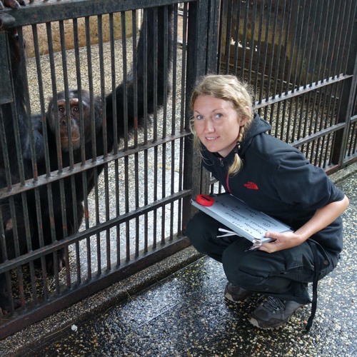 Ep. #184: Curiosity in Apes, with Sofia Forss