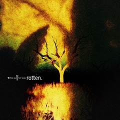 This Summer was Rotten (ft. Vails)