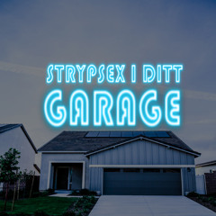 STRYPSEX I DITT GARAGE (feat. Tunturitoni)