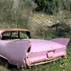 Bubblegum Hooptie (prod. eeryskies)