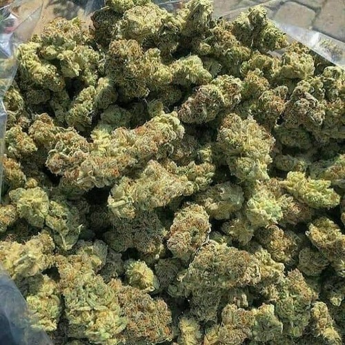 Order marijuana online from colorado (WhatsApp at): +1(786)949-1469