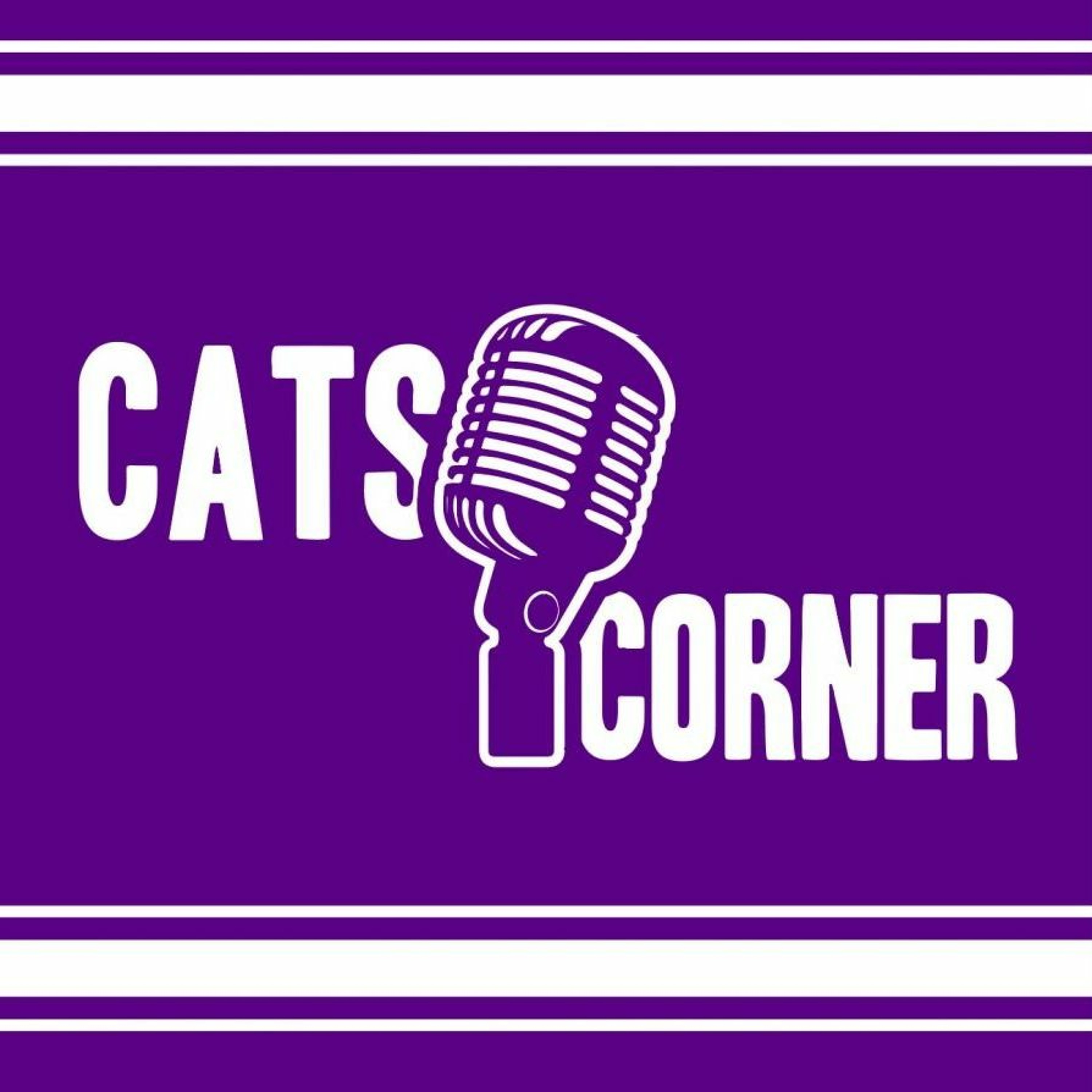 Cats Corner: Unsung Heroes: Spreadsheet master by day, game changer by night episode artwork
