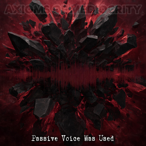 Passive Voice Was Used