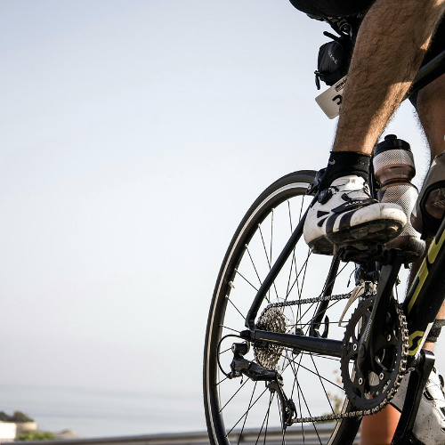 Cyclic X (2025)