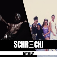 FE!N X WE LIKE TO PARTY (SCHRΞCKI Mashup) - TRAVIS SCOTT X VENGABOYS (FREE DOWNLOAD)
