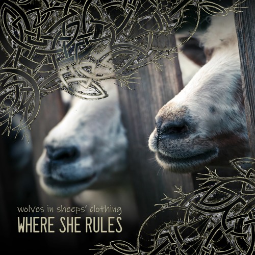 Wolves - In - Sheeps - Clothing