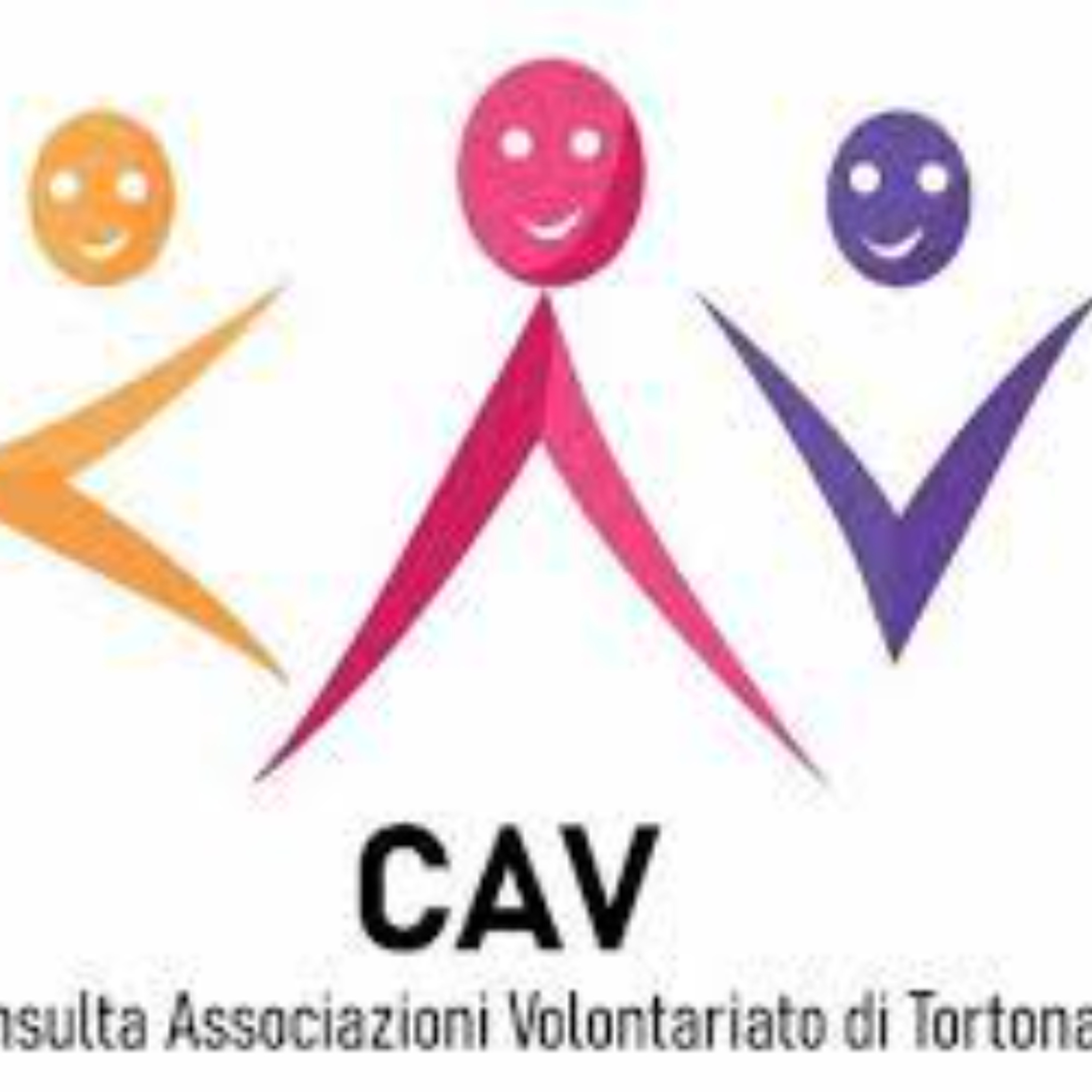 Consulta volontariato: un anno di attività episode artwork
