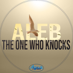 The One Who Knocks (Original Mix)[Agua Salada Records]