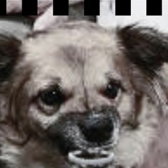 i knew this day would come