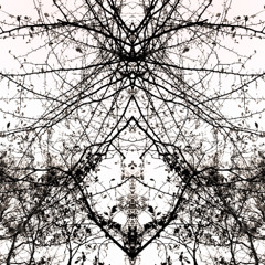 clairvoyant