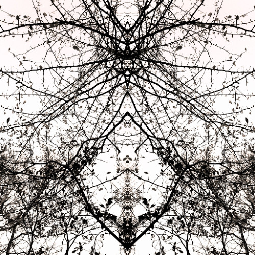 clairvoyant