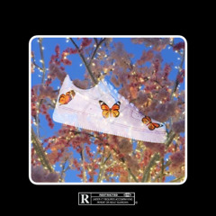 She Not You (prod. yvng.once)