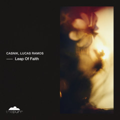 Casnik, Lucas Ramos - Fearless Flight (Original Mix)