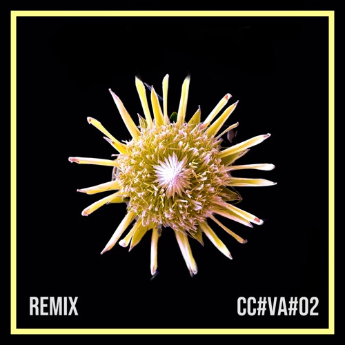 Mahandana - Haunted (Sebastian Moriarty Remix)