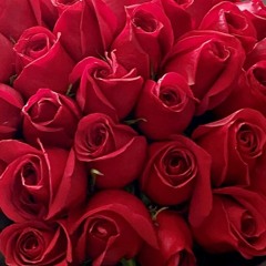🌹🌹🌹🌹🌹🌹🌹🌹🌹🌹🌹🌹🌹🌹🌹🌹🌹🌹🌹🌹🌹🌹🌹🌹🌹🥀