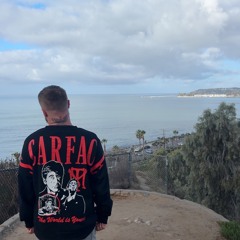 Poison In My Styrofoam