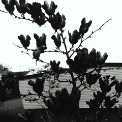 yearning for a better year.