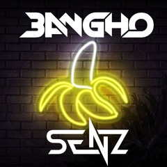 MIXTAPE BREAKBEAT SPECIAL 2024 #BANGHO X SENZ