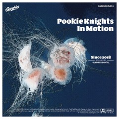PREMIERE: Pookie Knights - Ready For Launch [Sundries]