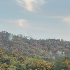 다정한말[데모]