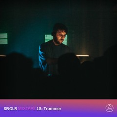 SNGLR Mixtape #018 | Trommer live @ México