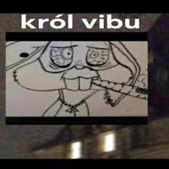 Less Velocity (król vibu)