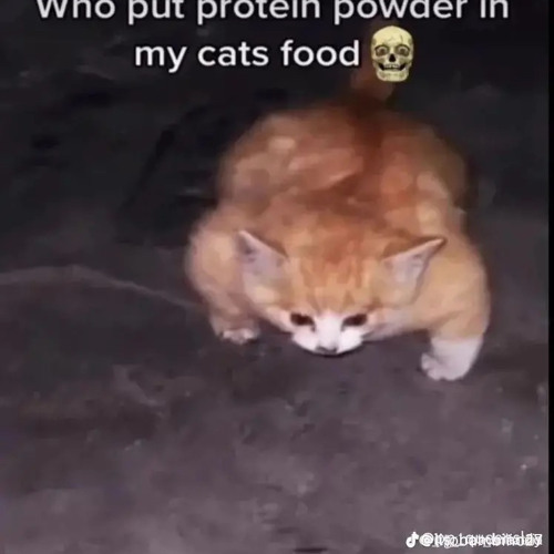 Stream END OF THE END OCToW OST (made by me go follow my other acc