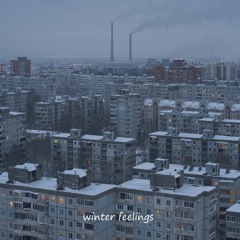 Winter Feelings