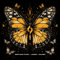 Seething Flow - Colibri (Dub Extended Mix) [Journey of the Soul]