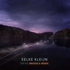 Drive (Brassica Extended Remix)
