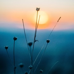 Great Is Thy Faithfulness