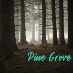 Pine Grove (LoFi Demo)