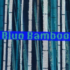 Praying Mantis Eats Murder Hornet