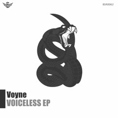 Voyne - TEST 22(Original Mix)