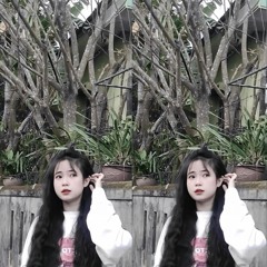 LẮC - LÊ BẢO MIX ( Nộc)