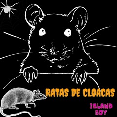 ratas de cloacas